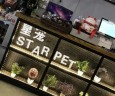 星宠宠物店