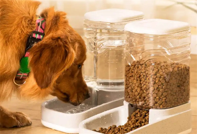 克林叔叔宠物用品加盟 克林叔叔宠物用品加盟