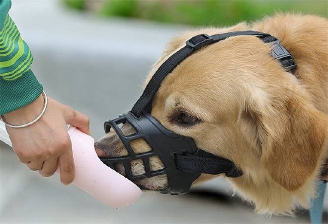 克林叔叔宠物用品