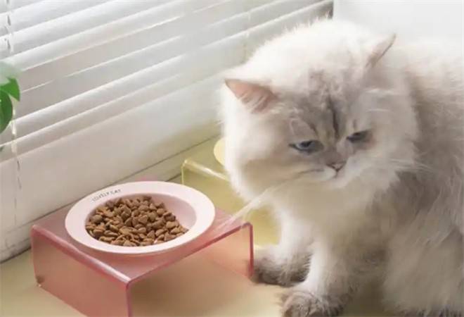 克林叔叔宠物用品