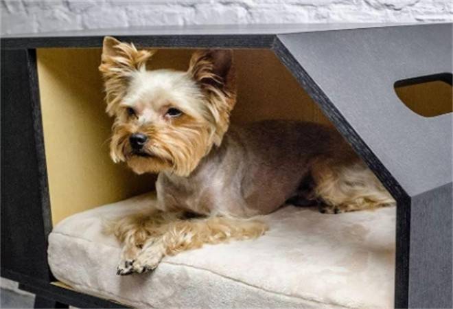 萌馋狸宠物用品