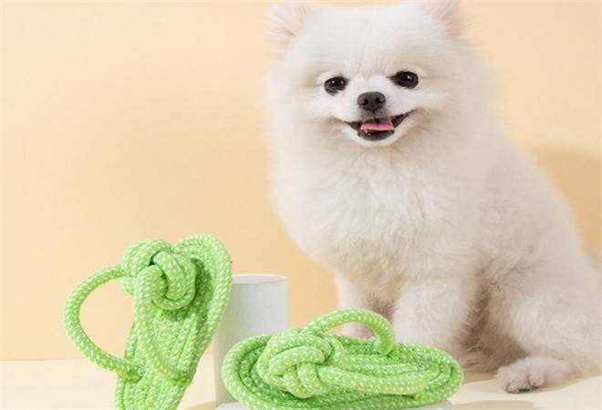 萌馋狸宠物用品