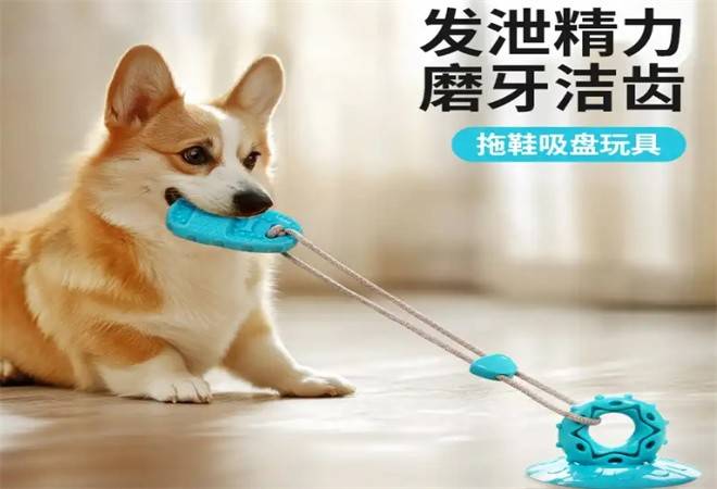 克林叔叔宠物用品