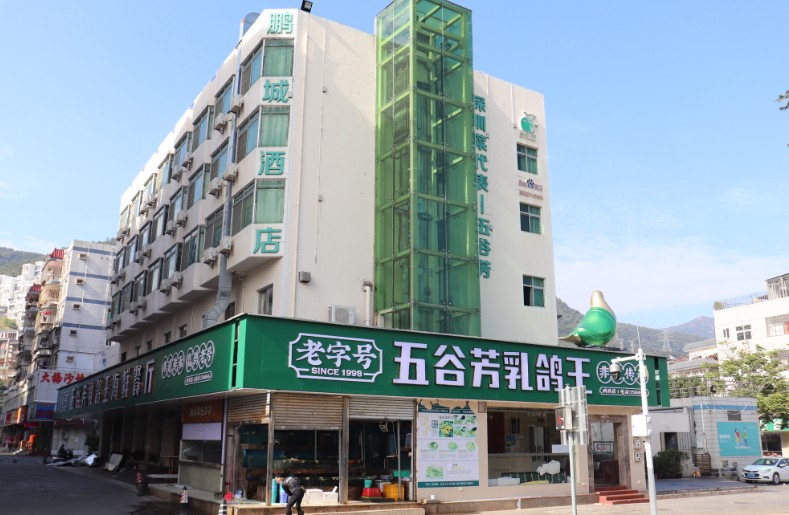 五谷芳乳鴿王加盟