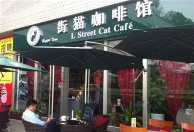 街猫咖啡加盟