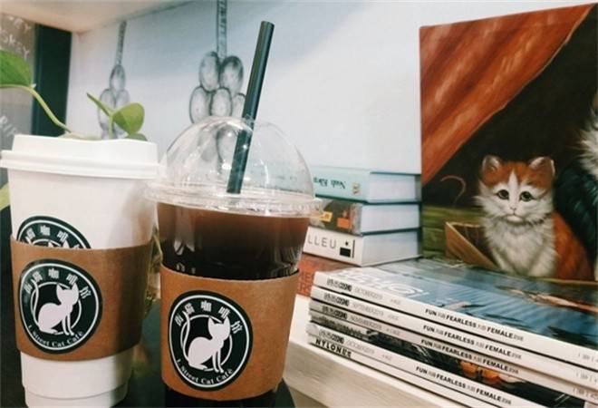街猫咖啡