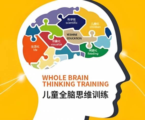 逻辑思维课代理