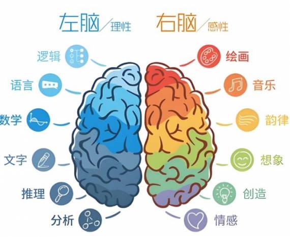 全脑开发课程合作