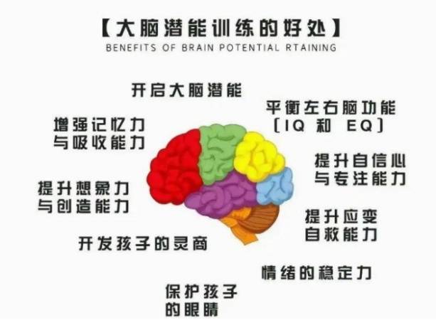 全脑开发课程合作