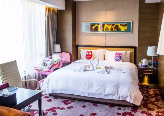 乐乐雅月子会所