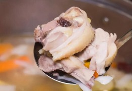 椰皇四季椰子雞