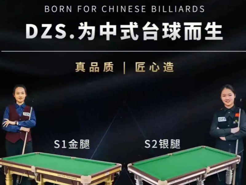 dzs台球