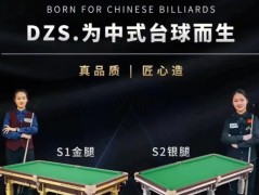dzs臺球