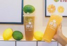 柠厂柠檬茶