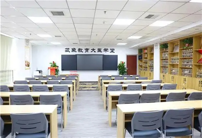 藏象教育