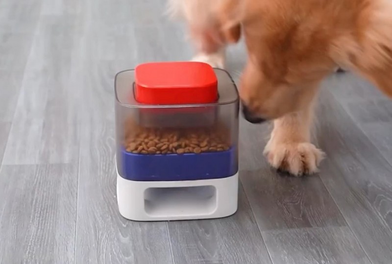 鄰小虎寵物用品