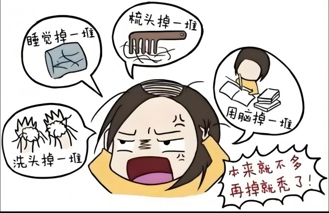 波斯坦植物养发