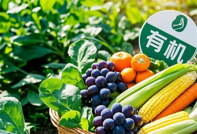 绿色有机食品 绿色有机食品