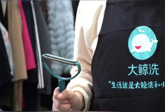 大鲸洗干洗加盟 大鲸洗干洗加盟