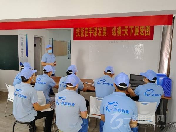 有只企鹅来到家