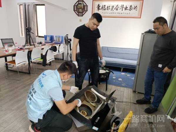 有只企鹅来到家