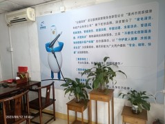 有只企鵝來到家