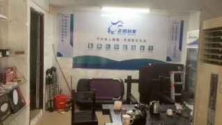 有只企鵝來到家