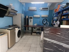 有只企鵝來到家