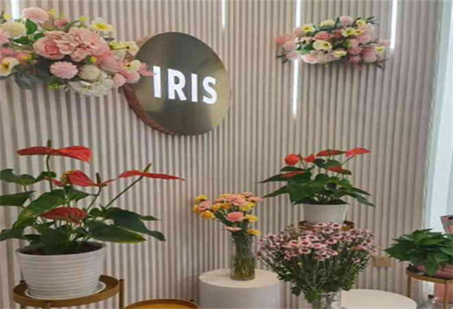 艾蕊诗美学空间加盟