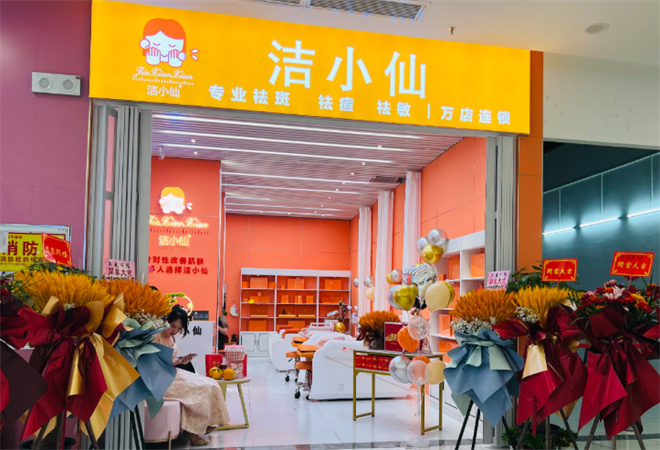 洁小仙洗脸吧加盟