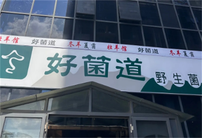 好菌道野生菌火鍋加盟