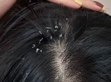 波斯坦植物养发 波斯坦植物养发