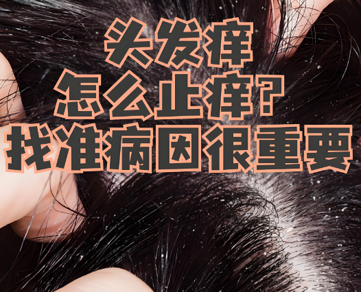 波斯坦植物养发 波斯坦植物养发