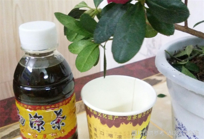 强劲凉茶加盟