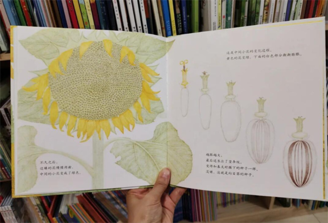 向日葵童書館加盟 向日葵童書館加盟