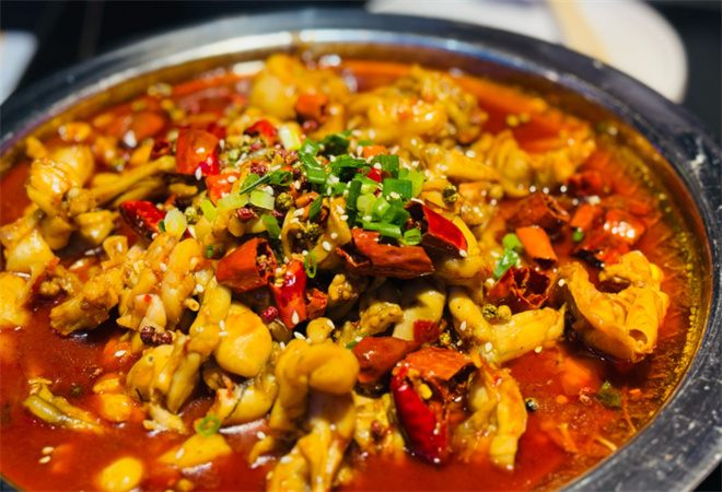 美蛙四季加盟 美蛙四季加盟