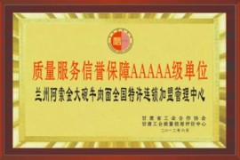 蘭州金大碗牛肉面