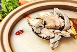 肚胖胖豬肚雞湯飯