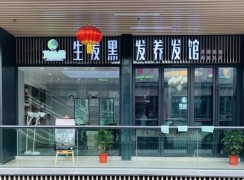 芃絲堂生發黑發養發