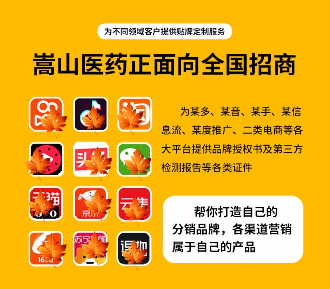 嵩山少派 嵩山少派